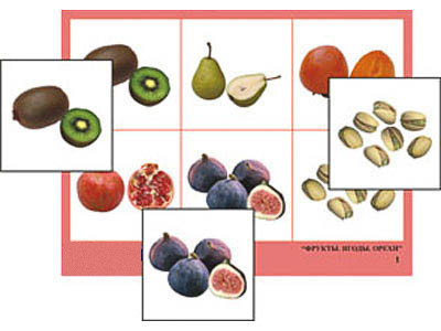 Лото "Фрукты, ягоды, орехи" (4 планшета, 24 карт., цвет., ламинир.)