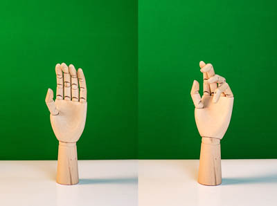 Модель для рисования "Рука (кисть)"