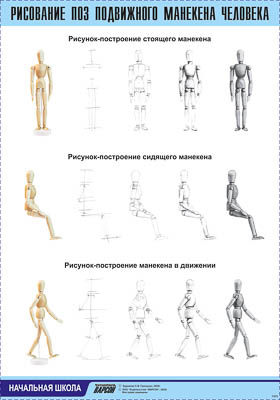 Таблица демонстрационная "Рисование поз подвижного манекена человека" (винил 70х100)