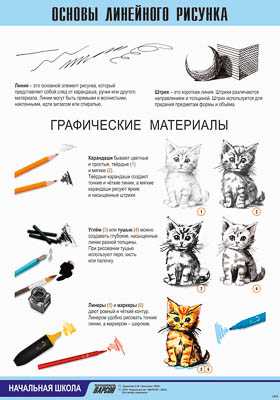 Таблица демонстрационная "Основы линейного рисунка" (винил 70x100)