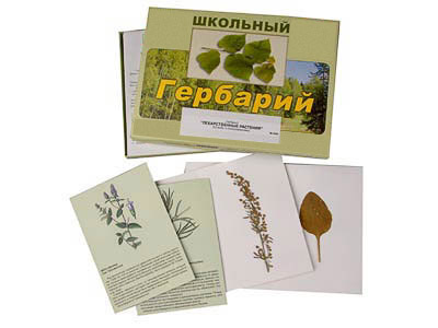Гербарий "Лекарственные растения" (22 вида, с иллюстрациями)
